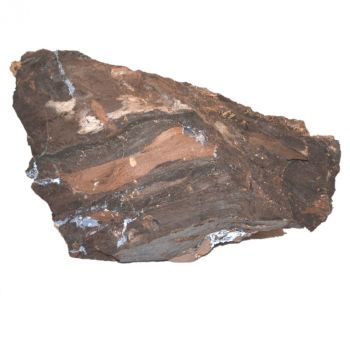 versteinertes Holz Standobjekt aus Ungarn, Mineralien, Natur Stein, Gesteine | N984