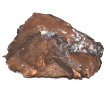 versteinertes Holz Standobjekt aus Ungarn, Mineralien, Natur Stein, Gesteine | N984