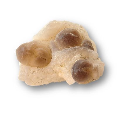 Trüffel Chalzedon - Panda Achat Rohstein Natur belassener Handschmeichler, Womb-Stone, N47