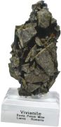 Edelstein Mineral Vivianite, Kristallcluster stehend auf Plexi-Scheibe, N5