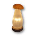 Selenit Steinlampe Pilz, weiß-oranger Selenit Naturstein Leuchte, Pilzlampe mit Holzsockel
