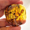 Bernstein echt, großer Stein Handschmeichler, uriger Ostsee Amber, Trommelstein, N19