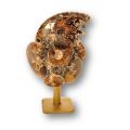 Ammoniten auf Sockel, Deko & Sammlerstück, Original aus Madagaskar, Geschenkidee & Einzelstück, Ammonit-Fossil