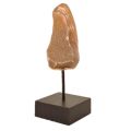 NEU! Achatgeode mit Metallständer – echter Achat- Geode aus Brasilien – dekorative Naturstein-Deko – Unikat – Geschenkidee N170