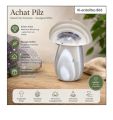 Achat – Edelstein Pilz handgeschnitzt, Herbst Deko, Glückspilz, Geschenk, N188