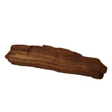 Versteinertes Holz Dekoration liegend, Zwenkauer Holz Versteinerung, N604