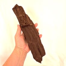 Versteinertes Holz Dekoration liegend, Zwenkauer Holz Versteinerung, N604