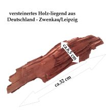 Versteinertes Holz Dekoration liegend, Zwenkauer Holz Versteinerung, N980