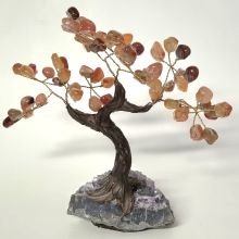 Edelsteinbaum Carneol, hübscher Edelstein Carneolbaum stehend auf Amethyst Base, Höhe ca.20-21 cm