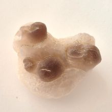 Trüffel Chalzedon - Panda Achat Rohstein Natur belassener Handschmeichler, Womb-Stone, N47