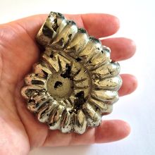 Pyrit Gravur-Ammonit, Pyrit geschliffen, poliert, aus Peru, N222