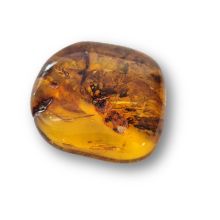 Bernstein echt, großer Stein Handschmeichler, uriger Ostsee Amber, Trommelstein, N19