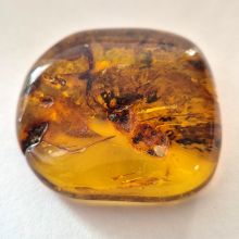 Bernstein echt, großer Stein Handschmeichler, uriger Ostsee Amber, Trommelstein, N19
