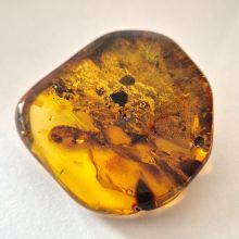 Bernstein echt, großer Stein Handschmeichler, uriger Ostsee Amber, Trommelstein, N19
