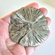 Pyritsonne Edelstein eine Mineralien Rarität, sehr schöne Scheibe aus Illinois, N65