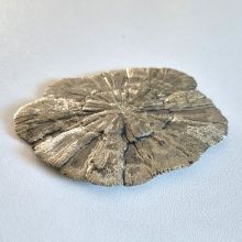 Pyrit-Sonne, scheibenförmig, glänzende Struktur Pyritkristall, Pyritsonne aus Illinois, N85