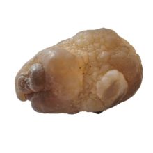 Panda Achat, Trüffel-Chalzedon Handschmeichler, Natürlicher Wombstone, N51