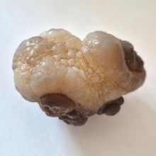 Panda Achat, Trüffel-Chalzedon Handschmeichler, Natürlicher Wombstone, N51