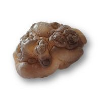 Panda Achat, Trüffel-Chalzedon Handschmeichler, Natürlicher Wombstone, N51