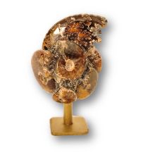 Ammoniten auf Sockel, Deko & Sammlerstück, Original aus Madagaskar, Geschenkidee & Einzelstück, Ammonit-Fossil