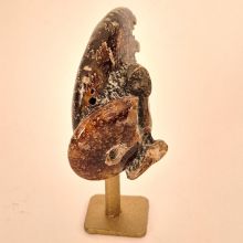 Ammoniten auf Sockel, Deko & Sammlerstück, Original aus Madagaskar, Geschenkidee & Einzelstück, Ammonit-Fossil