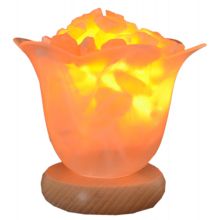 Edelsteinlampe  Blütenzauber Orangencalcit Leuchtschale
