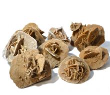 Sandrose Wüstenrose Barytrose ca.1,2kg, mehrere Stücke
